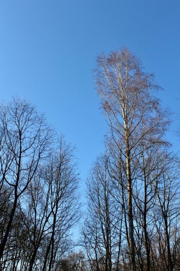 Appartamento Linden-Jachthoorn Lubbeek Esterno foto